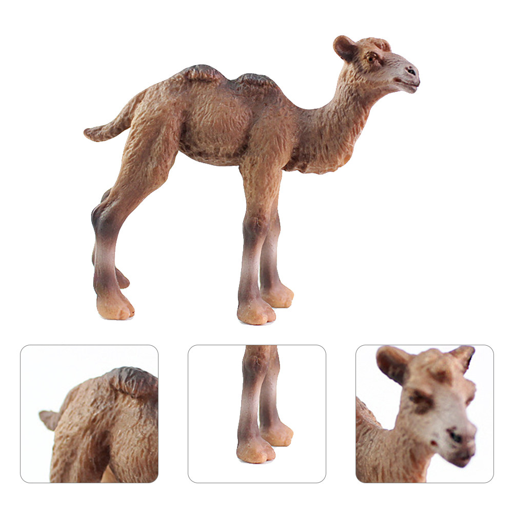 Kids Education Design - Handcrafted Camel Sculpture Smooth Texture Realistic