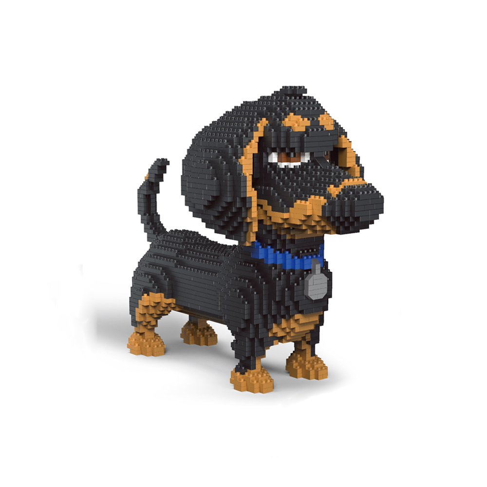 Kids Education And Recreation - Celebrate Your Love for Dog with