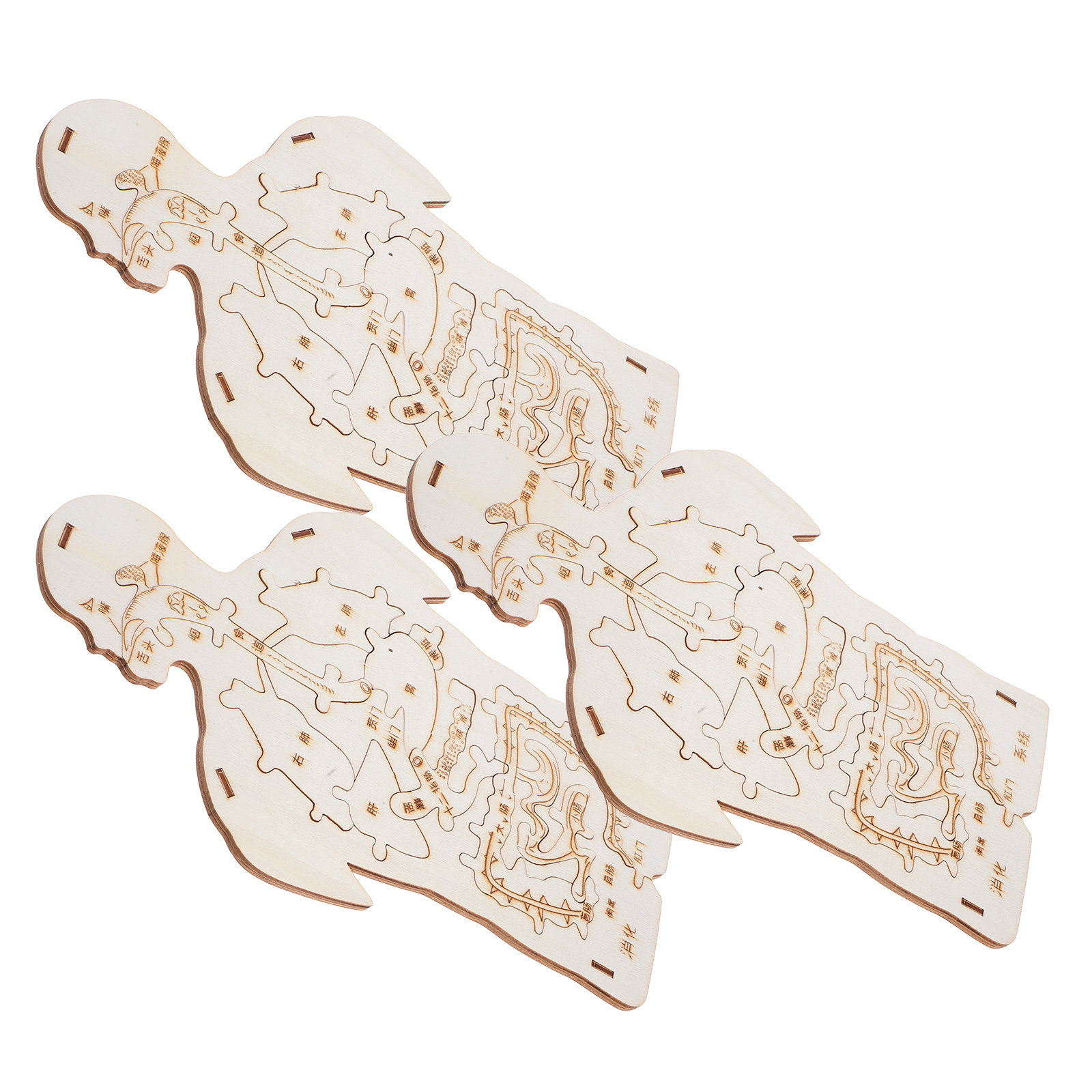3Pcs Wooden Human Body Puzzle  - Kids Education System review and price