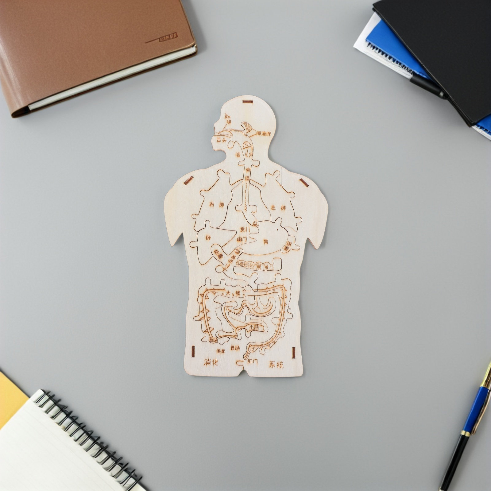 3Pcs Wooden Human Body Puzzle  - Kids Education System review and price