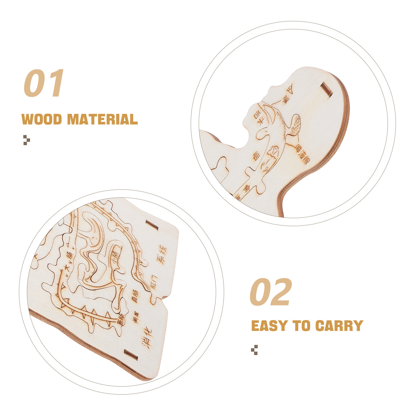 3Pcs Wooden Human Body Puzzle  - Kids Education System review and price