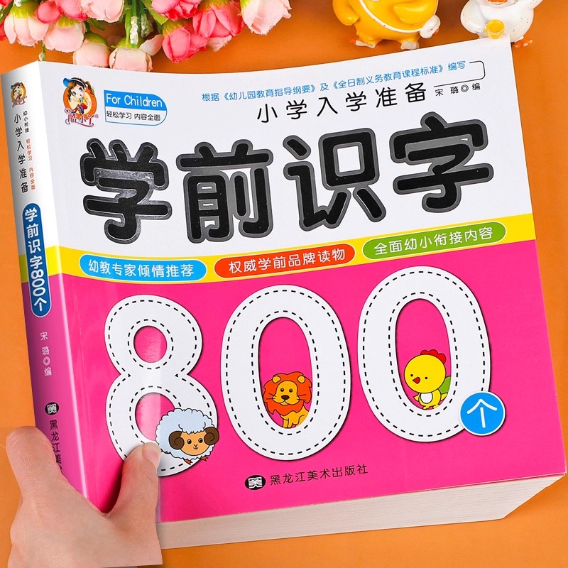 Preschool Literacy: 800 Chines - Kids Education Book review and price