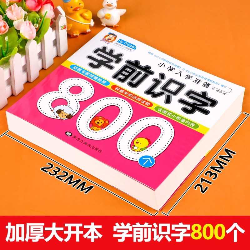 Preschool Literacy: 800 Chines - Kids Education Book review and price