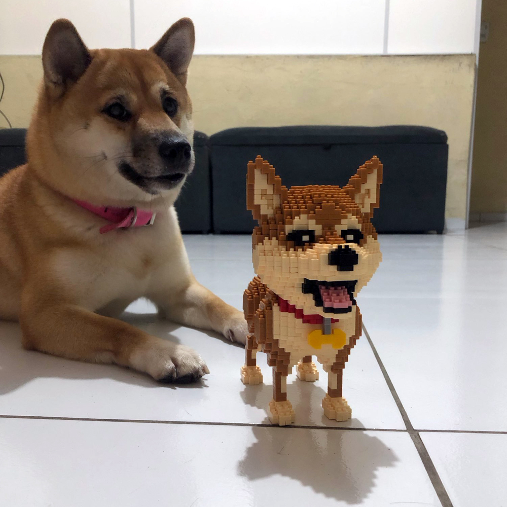 KNEW BUILT Shiba Inu Dogs Mode - Kids Education And Recreation review and price
