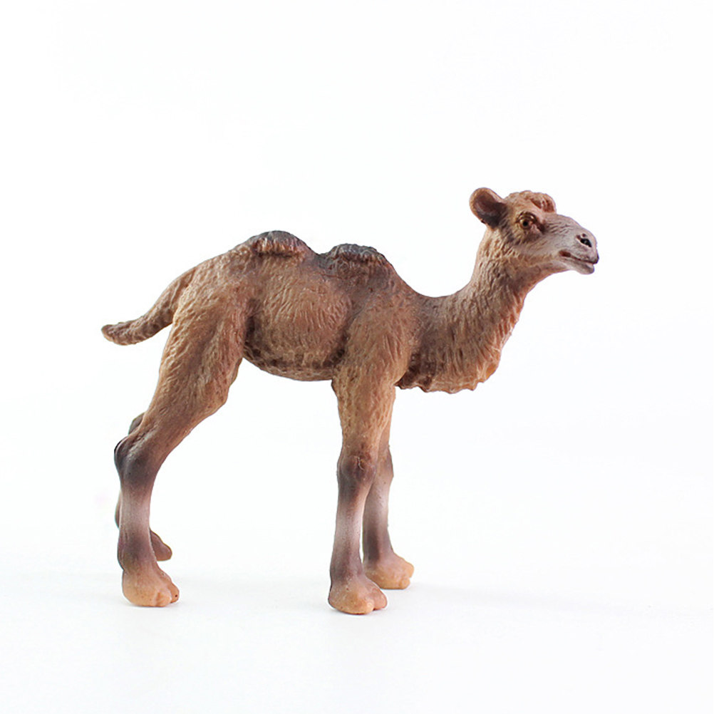 Handcrafted Camel Sculpture Sm - Kids Education Design review and price