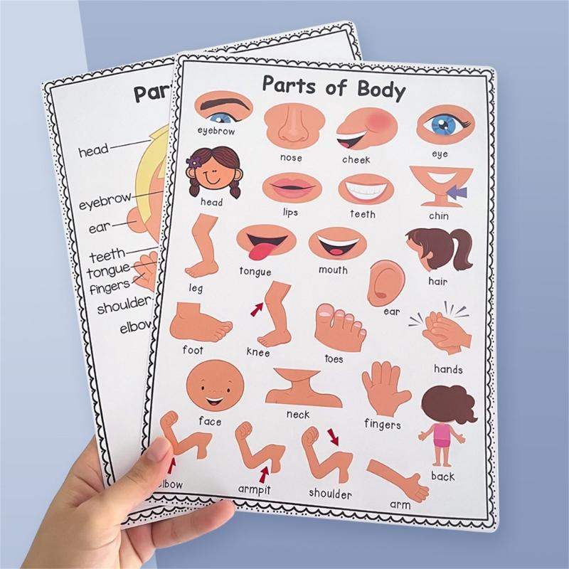 Colorful Educational Poster Te - Kids Educational Posters review and price