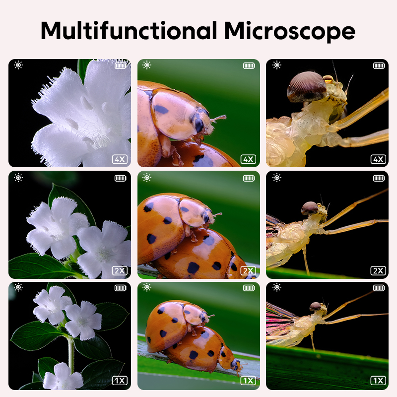 Mini Kids Optical Microscope W - Kids Educational Videos review and price